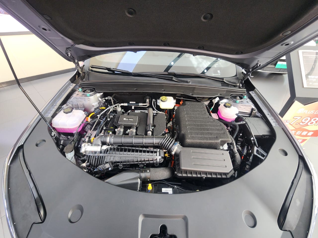 BYD QIN_PLUS 2025